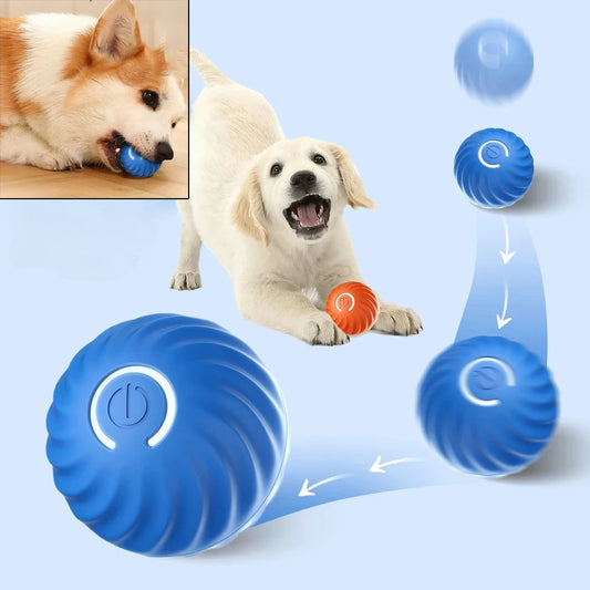 ModoHome™ TD Automatic Moving Dog Toy Ball – USB Rechargeable Interactive Bouncing Ball