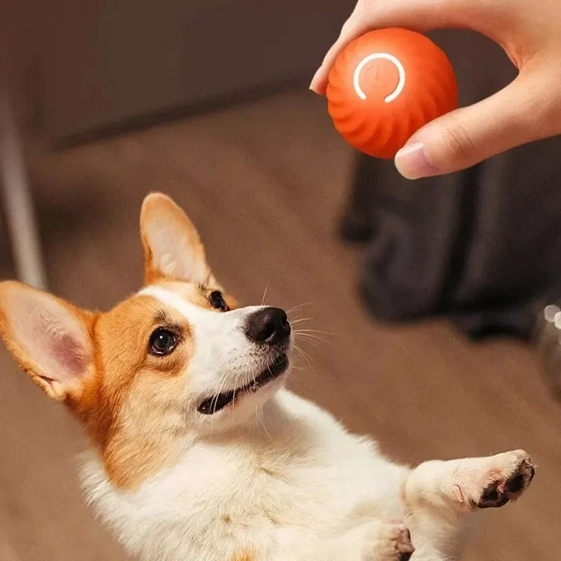 ModoHome™ TD Automatic Moving Dog Toy Ball – USB Rechargeable Interactive Bouncing Ball
